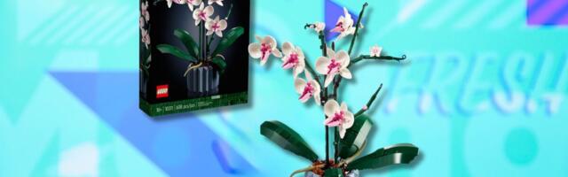 Score the Lego Botanicals Orchid on sale for under $40 right now
