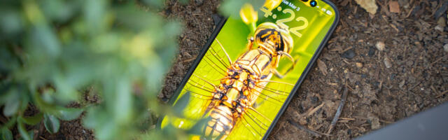 Wallpaper Wednesday: More great phone wallpapers for all to share (March 4)