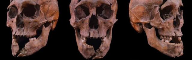 Research roundup: 6 cool stories we almost missed