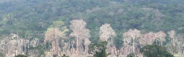 The Amazon Is Morphing Into a ‘Hypertropical’ Climate—and It’s as Apocalyptic as It Sounds