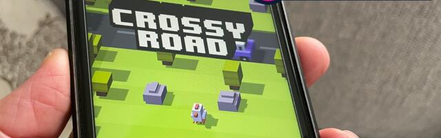 Chicken versus traffic! My obsession with the world’s most addictive hopper