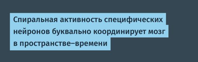 Спиральная активность специфических нейронов буквально координирует мозг в пространстве-времени
