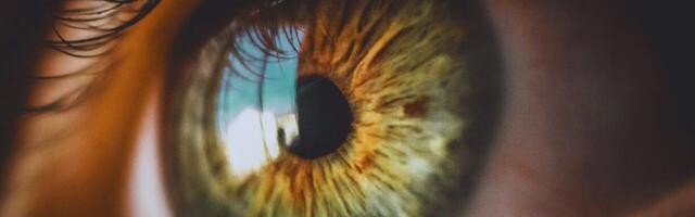 AI-analysed 3D eye scans can detect signs of Parkinson’s, study finds