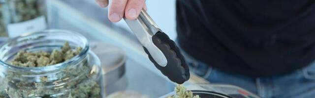 Weedbox acquires ecommerce tech provider Goodtimes