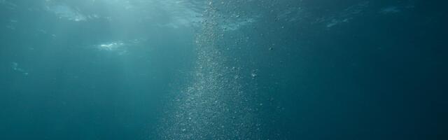 How does a bundle of glass fibres thinner than a garden hose, lying on the ocean floor under four kilometres of water, carry more than 95 percent of all intercontinental internet traffic?