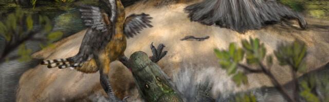An Even Scarier Predator Hunted Giant ‘Terror Birds’ in South America