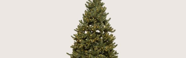 Balsam Hill's Black Friday Sale Is On. Save 40% on the Best Fake Christmas Tree