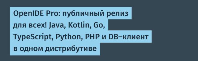 OpenIDE Pro: публичный релиз для всех! Java, Kotlin, Go, TypeScript, Python, PHP и DB-клиент в одном дистрибутиве