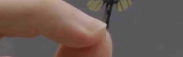 Mosquito-sized drone is designed for Chinese spy missions — military robotics lab reveals incredibly tiny bionic flying robots