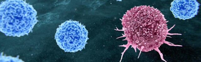 Scientists 3D print tumors for cancer research — TissueTinker using 3D bioprinting to create miniature models of healthy and diseased tissue for side-by-side comparison, backed by McGill
