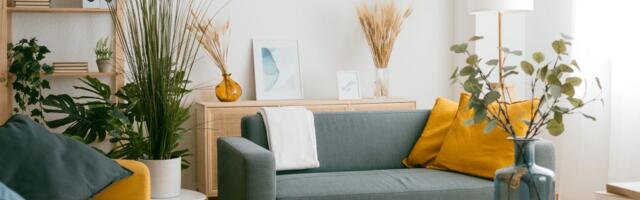 8 things to get rid of in your home before the new year, according to professional organizers