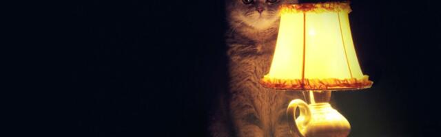 Анти-Notion: как управлять стартапом, переездом в США и разводом из одного Google-дока + опрос