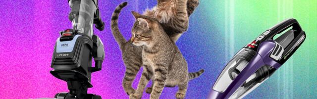The Best Vacuum for Pet Hair—We Tested Many to Find Which Ones Work Best (2026)