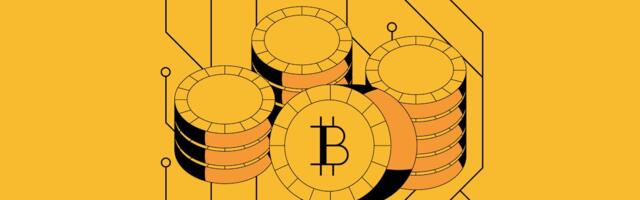 Checking in on Crypto’s Most Promising Startups