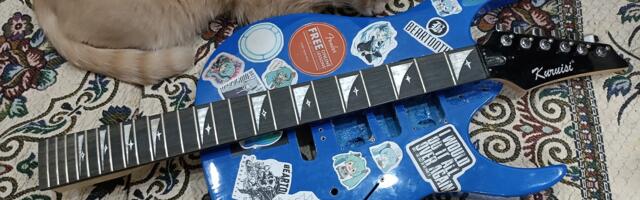 Не все ультрадешёвые электрогитары одинаково плохи