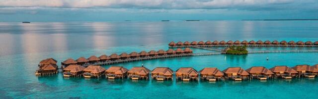 The luxury market is poised for a big slowdown, but there are some areas where people are still willing to splurge