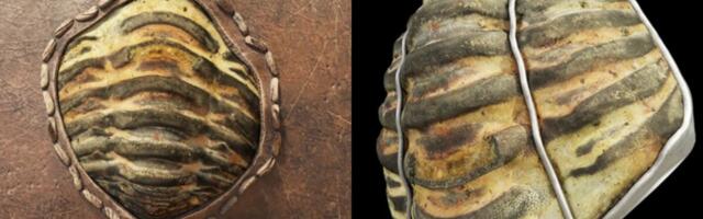 This Ancient Roman Artifact Is Also a 453 Million-Year-Old Fossil