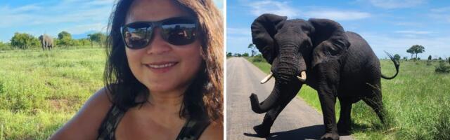 I took my husband on an epic safari adventure for his 50th birthday. It cost less than expected, and we had a blast.
