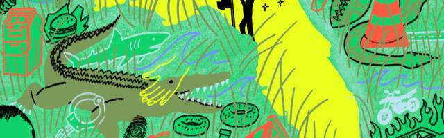 Reclaiming “Florida Man”