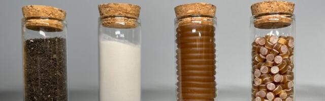 Seaweed bioplastic startup FlexSea bags £3m