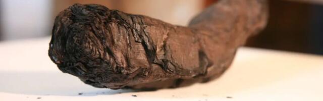 Nvidia GPU Used To Decipher Ancient Greco-Roman Scroll