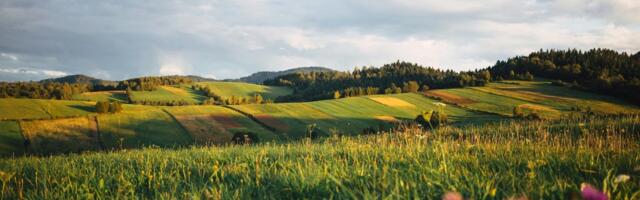 The climate techs with surging revenues