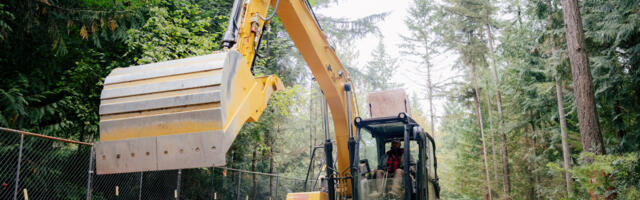 Backhoe Vs. Excavator: What's The Difference And Which Is Right For Your Needs?