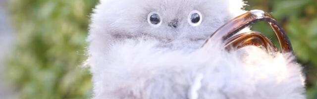 The weirdest tech at CES 2025