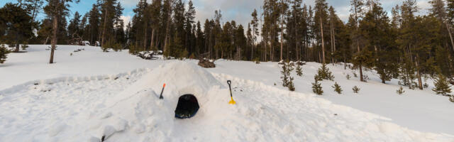 These Norwegian Soldiers Still Use An Old-School Tactic To Hide From Drones