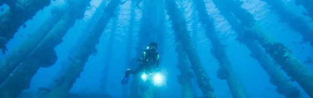 WA’s marine industries to discuss how going blue will improve the health of the economy – and ocean