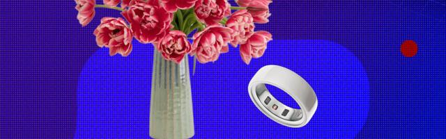 Best Valentine’s Day Gifts (2026): Legos, Karaoke, Digital Frames, and More