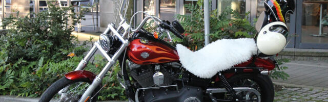 Why Do People Put Sheepskin On Motorcycle Seats?