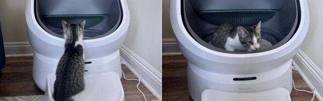 Petlibros Luma litter box is a mid-range Litter-Robot dupe people have been waiting for