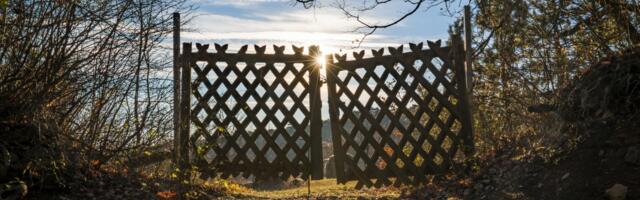 How to reduce the impact of a data breach through internal controls