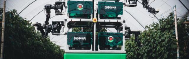 Fieldwork Robotics raises £1.5M in funding for AI-supported harvesting robot