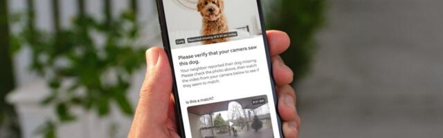 Ring now lets anyone use the Neighbors app to report and find lost pets
