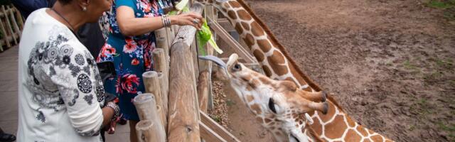 Skift Aviation Forum Opening Reception Venue Announced