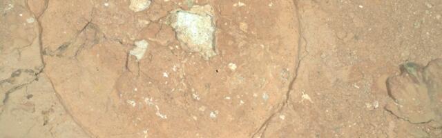 Green Blobs on a Red Planet: NASA Rover Spots ‘Enigmatic’ Rock