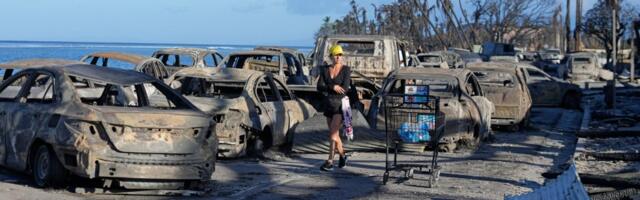 ‘This destruction could have been avoided’: Maui County sues utility, alleging negligence over wildfires