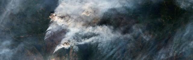 The Upsetting Truth About What Wildfire Smoke Does to Your Body