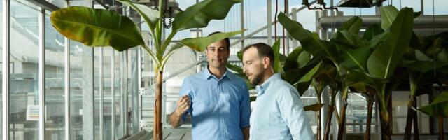 UK AgTech startup Tropic secures €91.3 million to bring gene-edited bananas and climate-resilient crops to market