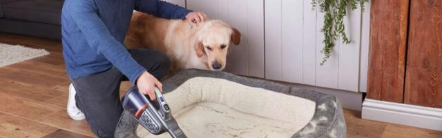 Here are our favorite spring cleaning deals from Amazon’s Big Spring Sale