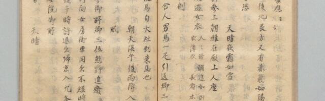 Scientists Used Medieval Poems and Trees to Uncover a 13th-Century Solar Surge