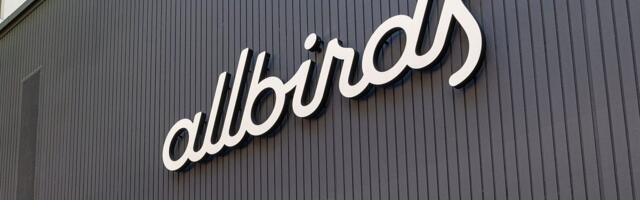 Allbirds was founded with a focus on environmental conservation. Its pivot to AI is leaving that behind.