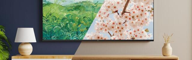 Roku’s new Backdrops feature is blatantly inspired by Samsung’s Frame TV