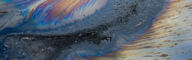 Genetic-engineered bacteria break down industrial contaminants