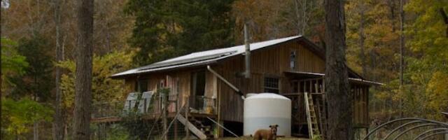 My husband and I moved to an off-grid cabin in West Virginia 10 years ago. This lifestyle has been tough, but worth it.