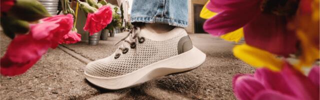 Allbirds sold its shoe business for $39 million and is pivoting to AI cloud computing