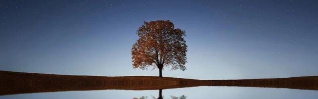 Bitcoin is less volatile than South Korea's stock market right now