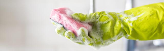 The 8 Kitchen Items You're Keeping Too Long (and What That's Actually Costing You)